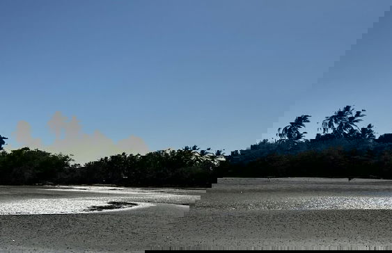 Paradise Bay - Photo 19