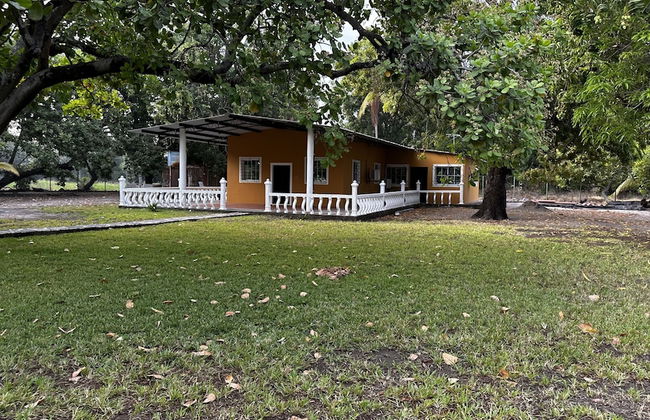 Paradise Bay - Photo 8