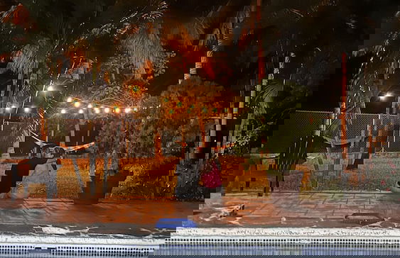 Paradise Bay - Photo 10