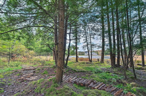 Photo 7 - Spacious & Secluded Forksville Home: Fire Pit