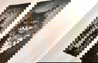 Foto 16 - Belle Kitz Apartment 3