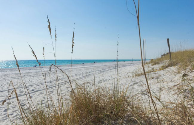 Penthouse With Beautiful Beach Views! 1 Bedroom, 2 Bathroom Penthouse! - Foto 42