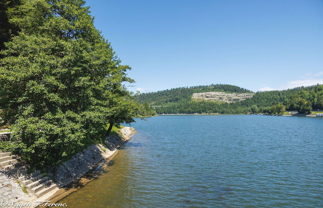 Beautiful 1-bed Apartment in Fuzine With Lake View - Foto 12