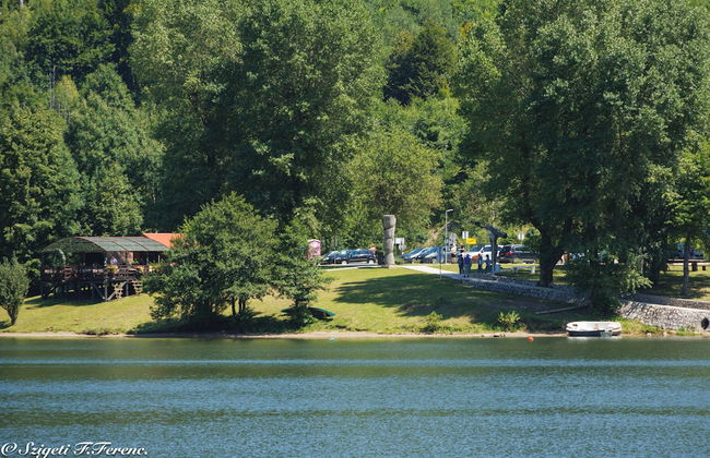 Beautiful 1-bed Apartment in Fuzine With Lake View - Foto 11