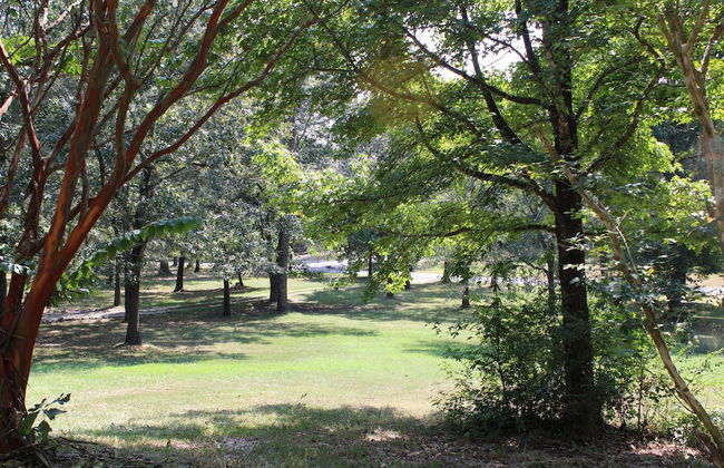 Shalom Chalet - Photo 22