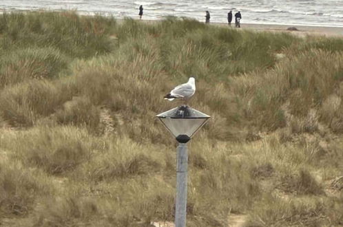 Foto 14 - Remarkable 1-bed Seaview Beach Apartment Barmouth