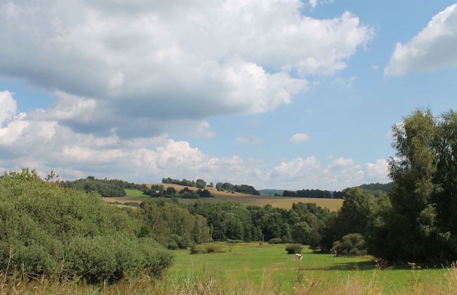 Attractively Renovated Holiday Home Located in the Beautiful Nature of the Czech Republic - Foto 22