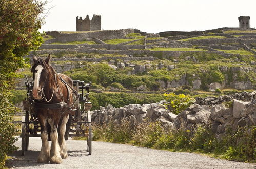 Photo 20 - Galway Bay Lodge