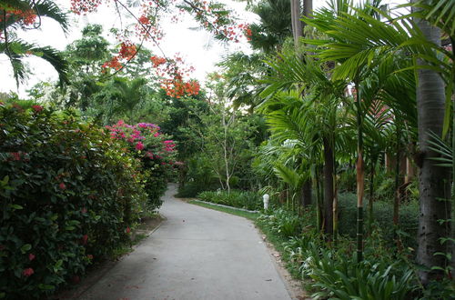 Photo 37 - Palm Village