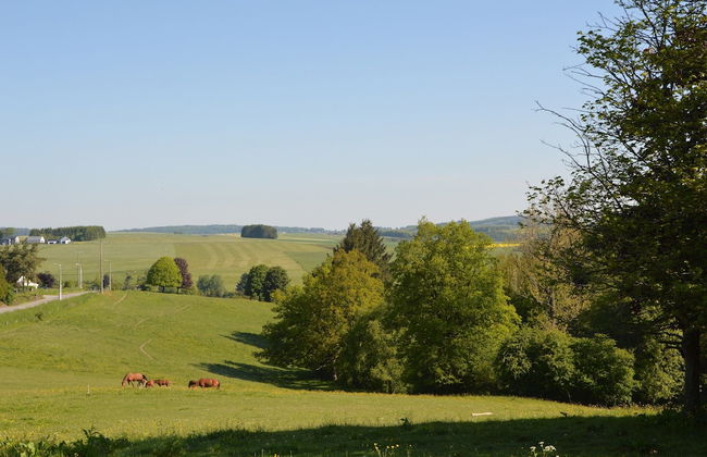 Holiday Home in Hotton Near Caves of Hotton - Foto 28