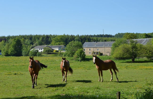 Holiday Home in Hotton Near Caves of Hotton - Foto 23