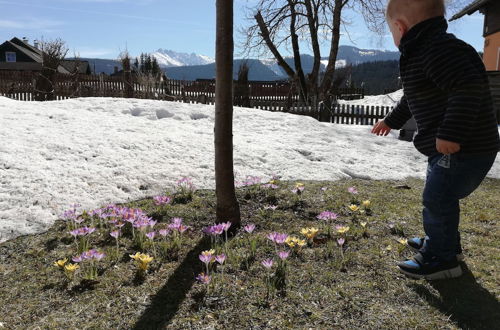 Photo 33 - Holiday Home in Bad Mitterndorf Near ski Area