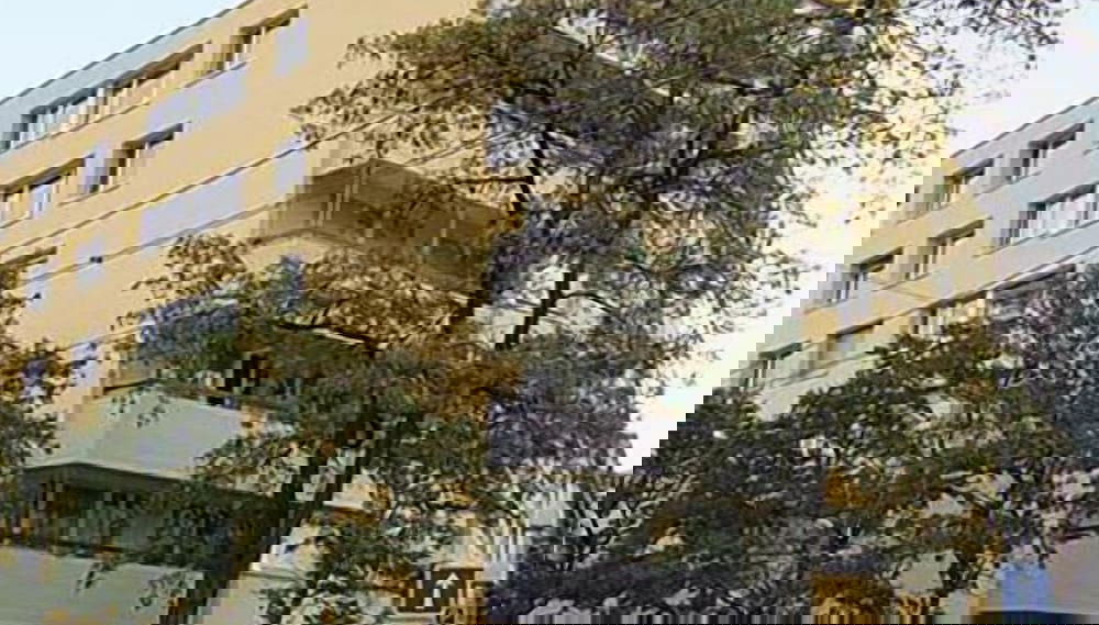 Image principale