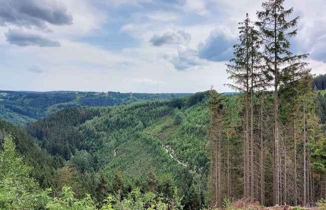 Spacious Holiday Home in Malmedy near Nature Parc High Venn - Foto 46