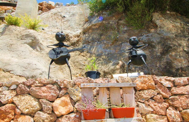 1094 Cortijo el Niño - Photo 66