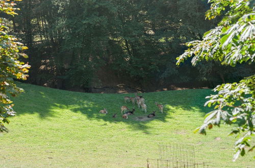 Photo 34 - A Detached Holiday Home in a Highly Scenic Area