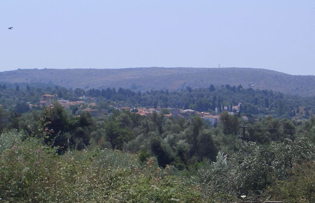 The Milio's House - Photo 27
