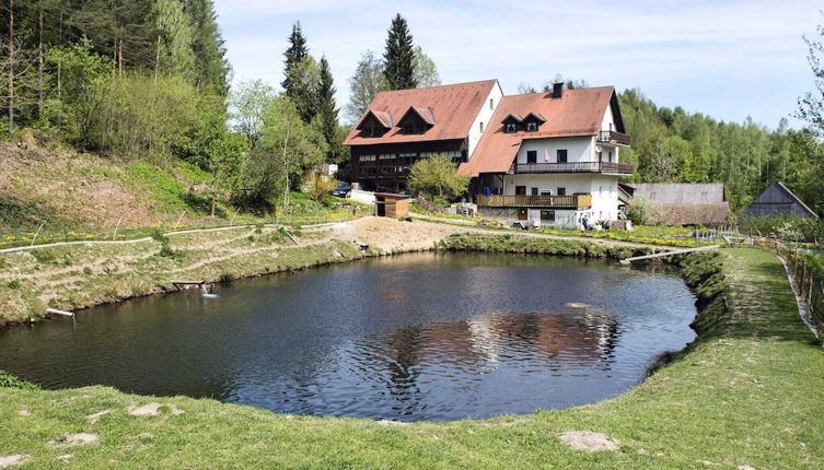 Photo 1 - Secluded Apartment in Schönsee near Forest