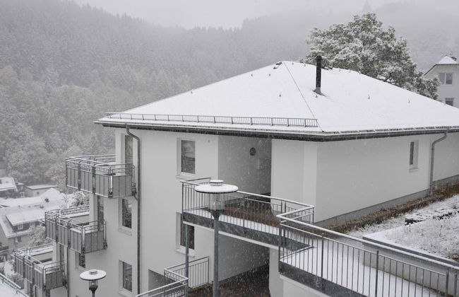 Magnificent Apartment in Willingen With Balcony - Foto 78