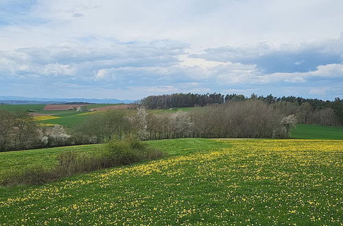 Photo 31 - Cozy Holiday Home in Willersdorf With Pond