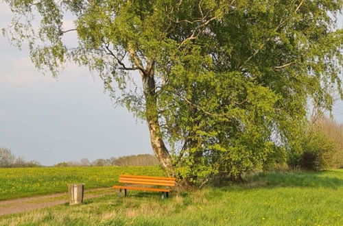 Photo 31 - Cozy Holiday Home in Willersdorf With Pond