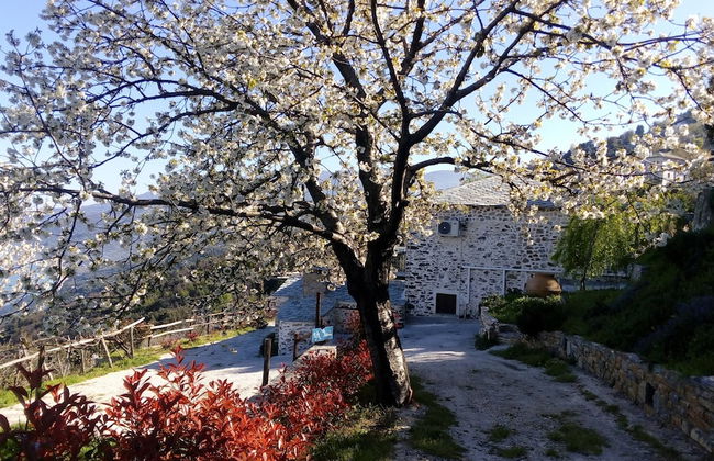 Villa Asterina - Photo 22