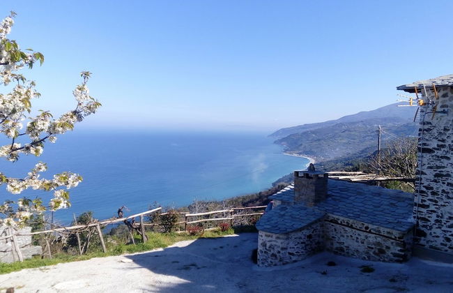 Villa Asterina - Photo 1