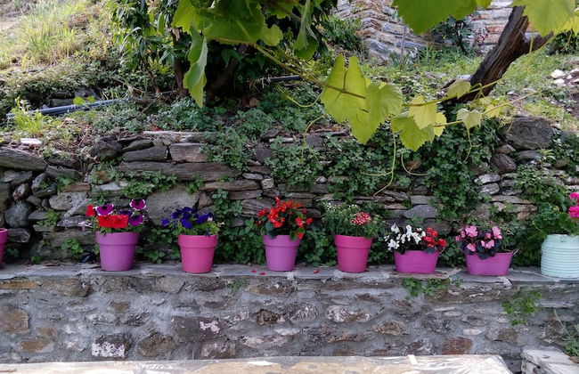 Villa Asterina - Photo 21