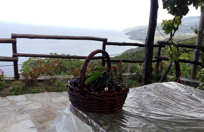 Villa Asterina - Photo 25