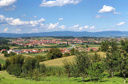 Photo 33 - Rural Homestead Trenkovo