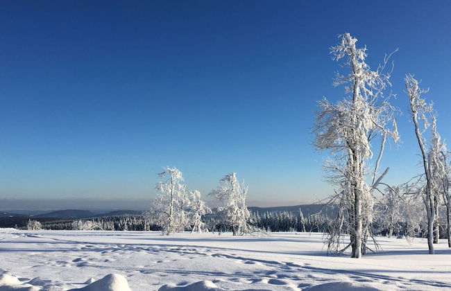 Ferienhaus mit Sauna in Winterberg - Foto 37