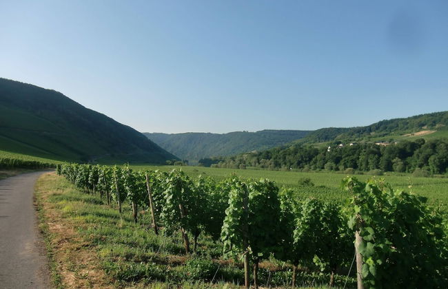 Holiday Home in Bremm Near the Vineyards - Foto 36