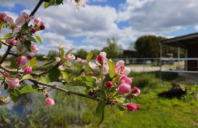 Sund - Foto 62