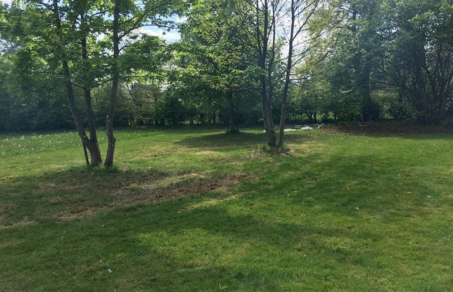 Holiday Home With Sauna in Sourbrodt - Foto 29