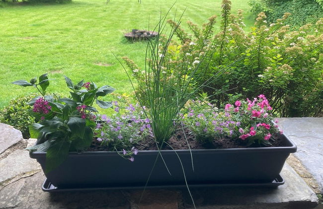 Holiday Home With Sauna in Sourbrodt - Foto 23