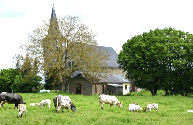Charming Farmhouse With Large Terrace - Foto 70
