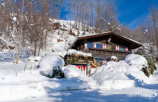 Foto 1 - Spacious Chalet in Niedernsill near Skiing