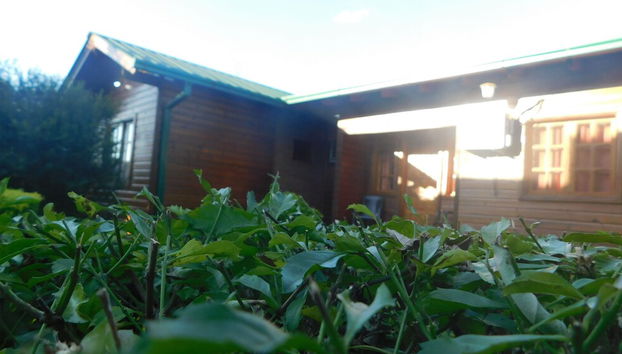 Entrada (vista interior)