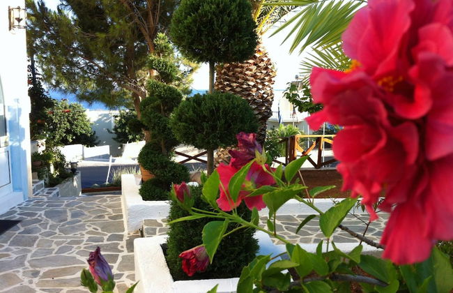 Achlia Hotel - Photo 50