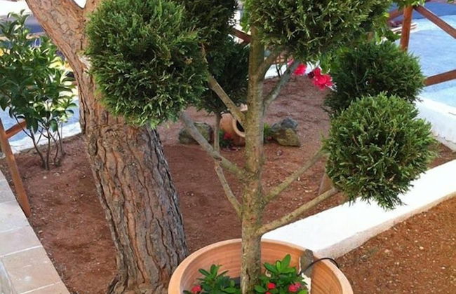 Achlia Hotel - Photo 52