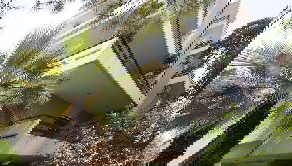 Imagem principal