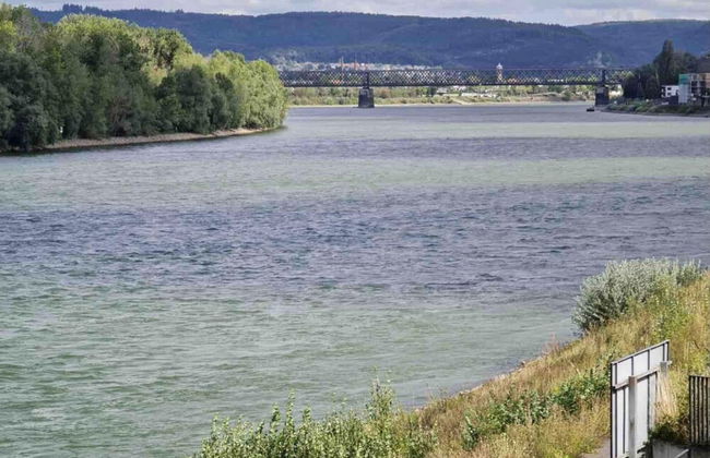 Modernes Apartment mit Wunderschönem Rheinblick - Foto 17