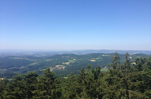 Photo 14 - Welcoming Chalet near Forest in Rohrnbach