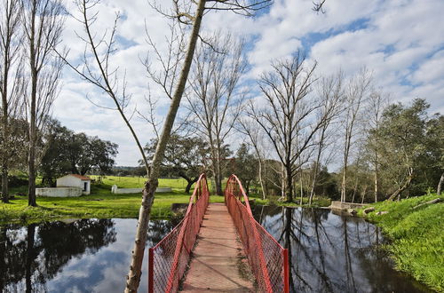 Photo 50 - Herdade do Barrocal de Baixo