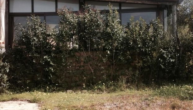 Fachada del alojamiento