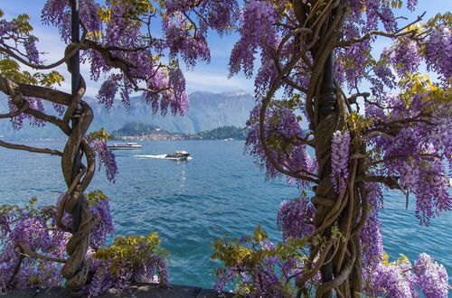 Photo 19 - Bella Varenna