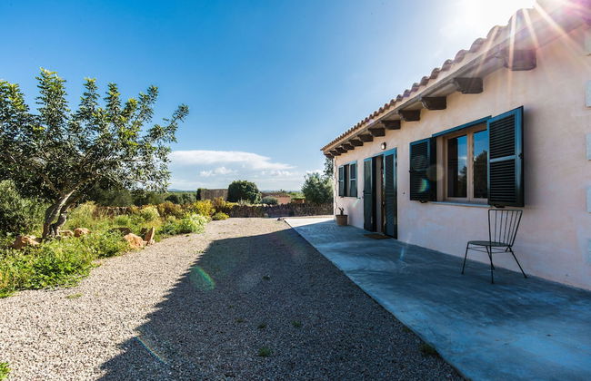Finca Agroturismo Sa Cova den Borino - Photo 69