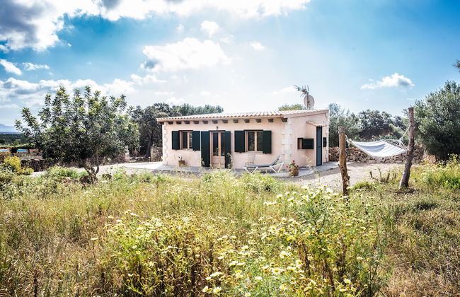 Finca Agroturismo Sa Cova den Borino - Photo 46