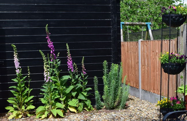 Sandhurst Farm Forge - Foto 12