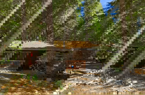 Foto 35 - Coziness Cabin - Cute Little Cabin in the Tahoe Woods!